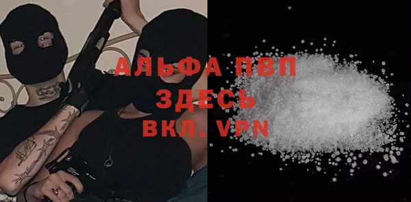 ECSTASY Абаза